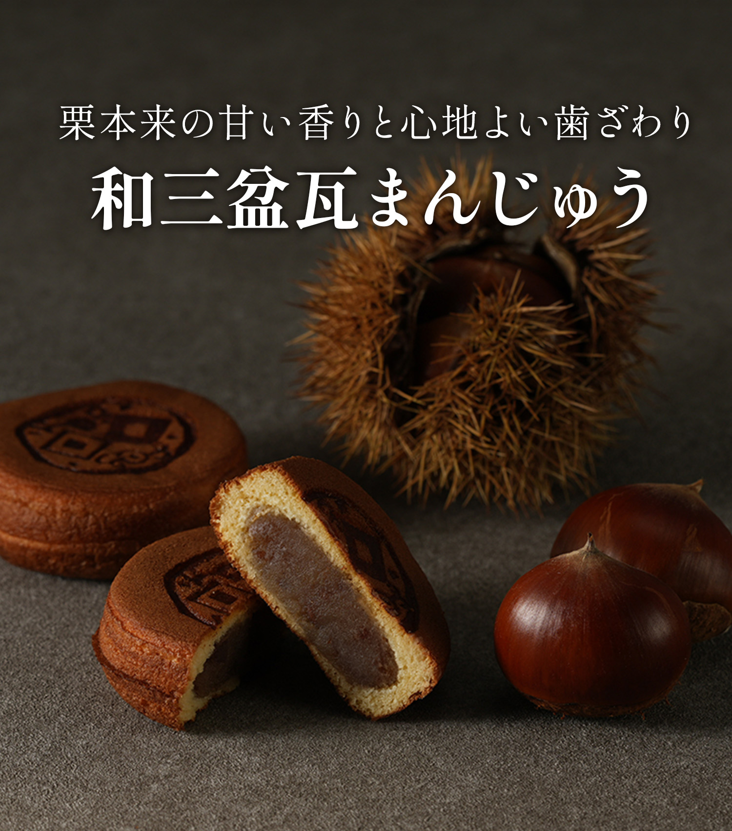 公式通販】瓦まんじゅうと瓦せんべいの亀の井亀井堂本家